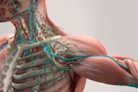 Yes Pilates - Castiglione delle Stiviere, Desenzano del Garda, Peschiera del Garda, pilates, macchinari, matwork, workout, personal, vertigini, instabilità, nausea, equilibrio